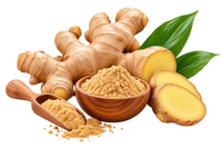 Ginger