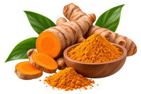 Turmeric Extract